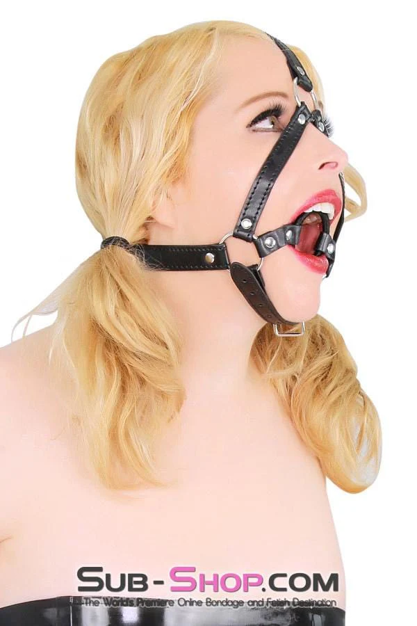 4423BD      Wrapped Ring Gag Trainer Harness - Image 5