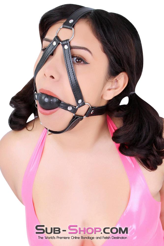 8994DL      Black Rubber Ballgag Bondage Trainer - Image 8