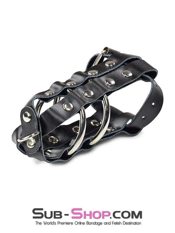1797DL       Lockable Cock & Balls Cage with Lead Ring Tip - Image 4
