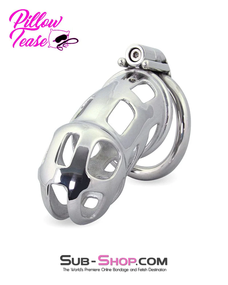 1691AR-SIS      Long Teasing Night Steel Male Sissy Chastity Cage Device - Image 4