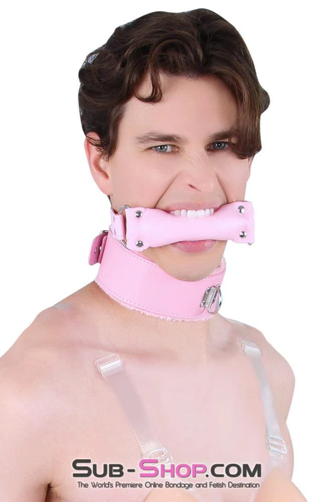 0536LT-SIS Pink Furry Sissy Training Bondage Pretty Sissy Boi Slave Collar & Leash Set - Image 18