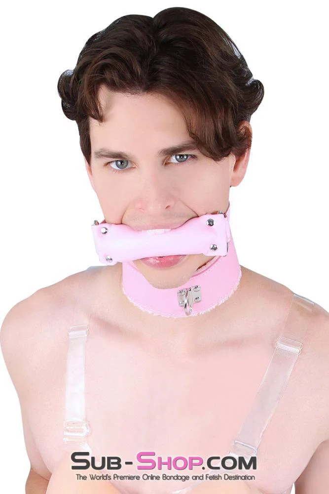 0536LT-SIS Pink Furry Sissy Training Bondage Pretty Sissy Boi Slave Collar & Leash Set - Image 19