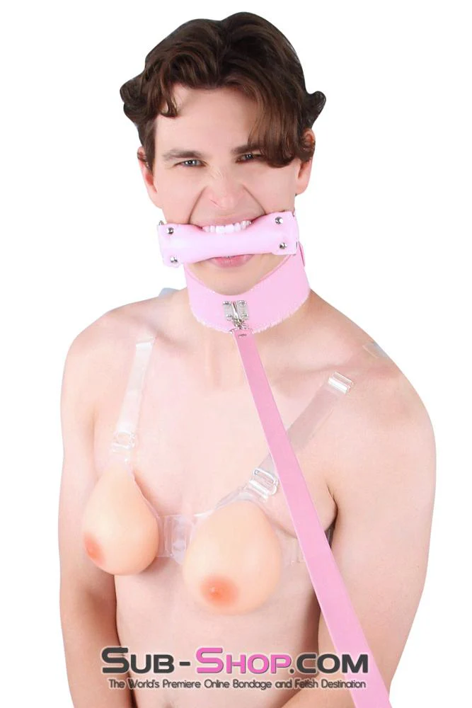 0536LT-SIS Pink Furry Sissy Training Bondage Pretty Sissy Boi Slave Collar & Leash Set - Image 4