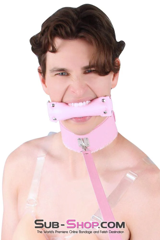 0536LT-SIS Pink Furry Sissy Training Bondage Pretty Sissy Boi Slave Collar & Leash Set - Image 7