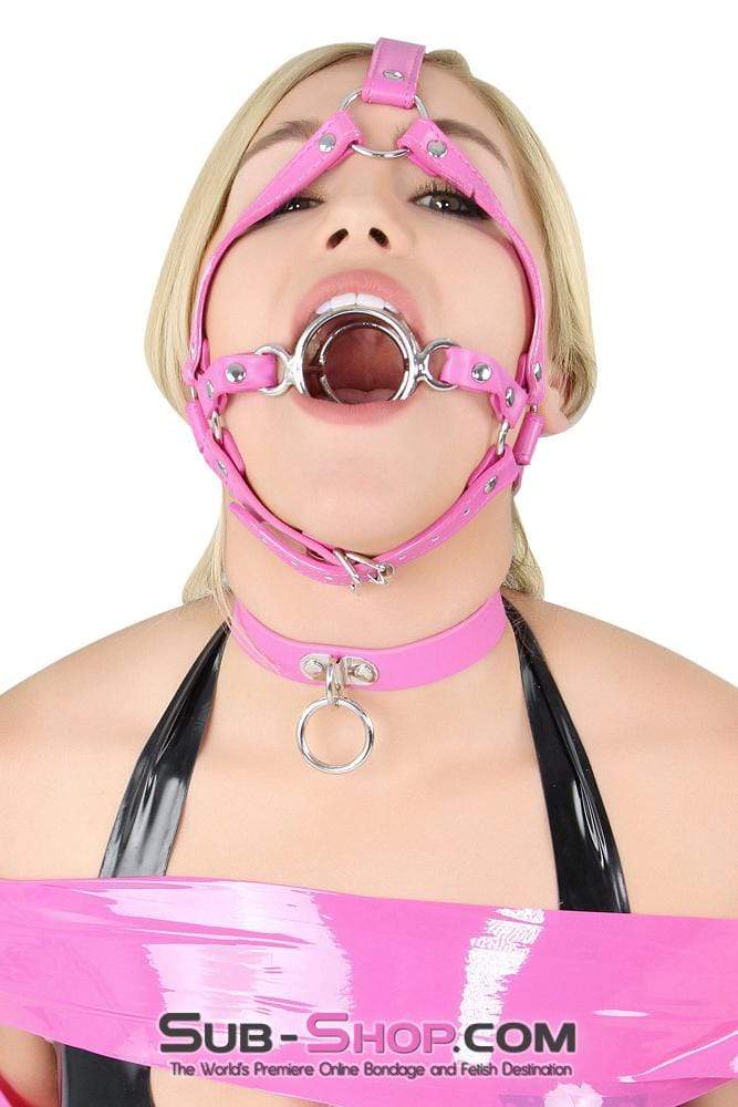 0210DL-SIS      Sissy Slave Sissy Maid Slut Hot Pink Tongue Depressor Double Ring Gag Trainer - Image 4
